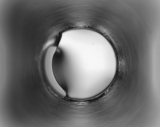 X0000088020443200706081444