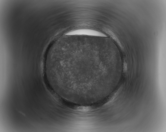 X0000088020444200706081444