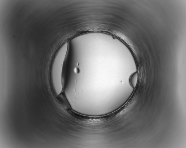 X0000088020445200706081444