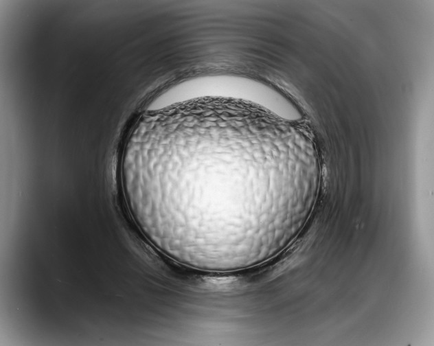 X0000088020446200706081444
