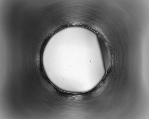 X0000088020447200706081444