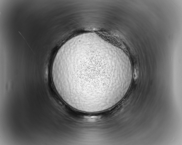 X0000088020448200706081444
