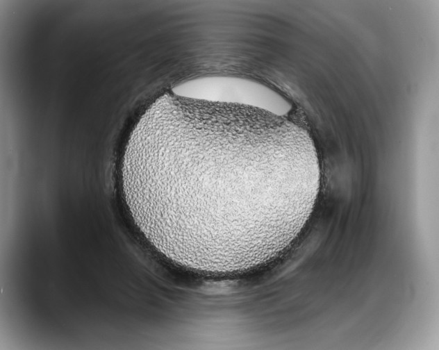 X0000088020450200706081444