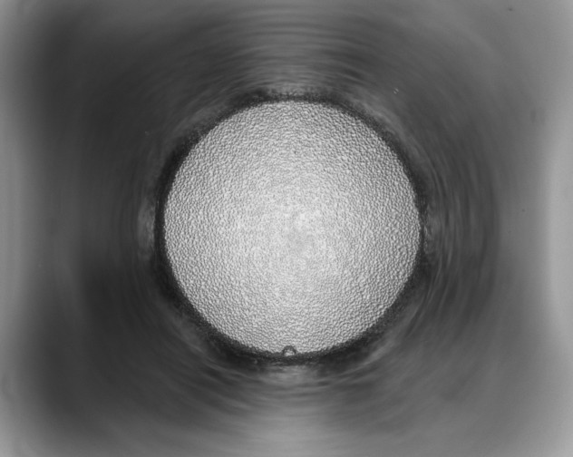 X0000088020454200706081445