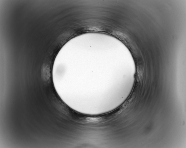 X0000088020457200706081445