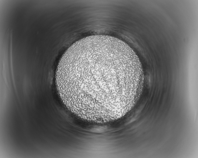 X0000088020458200706081445