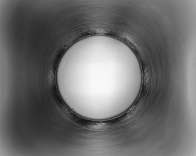 X0000088020459200706081445