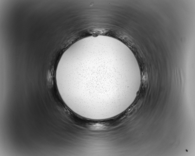 X0000088020460200706081445