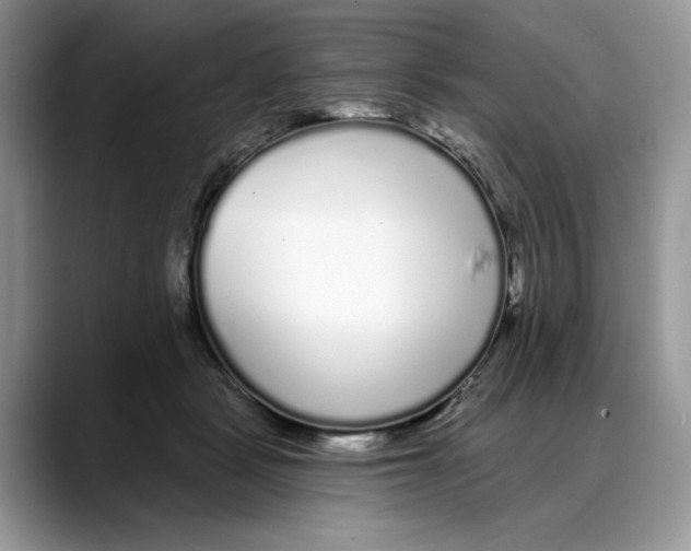 X0000088020461200706081445