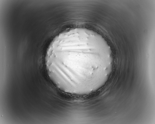 X0000088020462200706081445