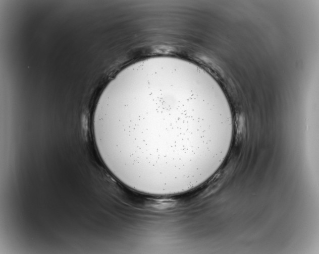 X0000088020463200706081445