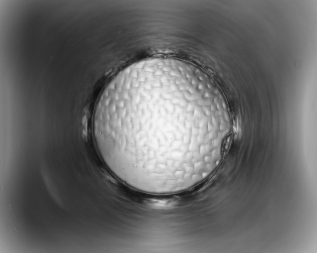 X0000088020464200706081445