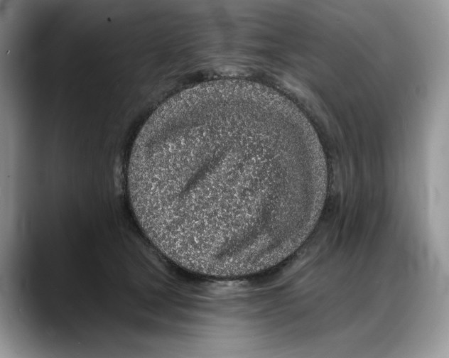 X0000088020465200706081445