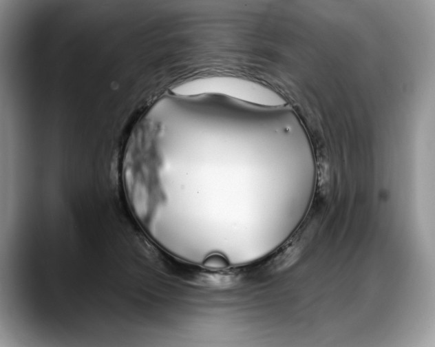 X0000088020466200706081445