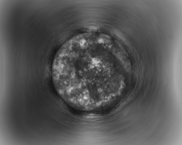 X0000088020467200706081445