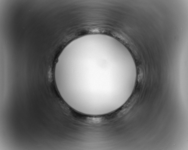 X0000088020469200706081445