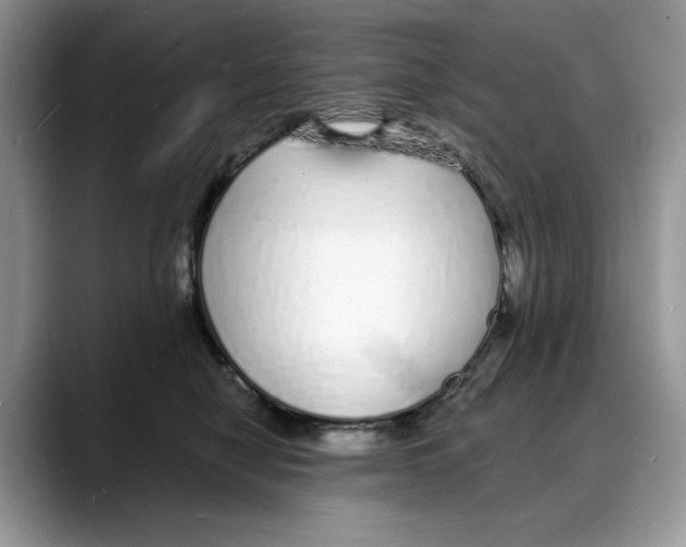 X0000088020470200706081445