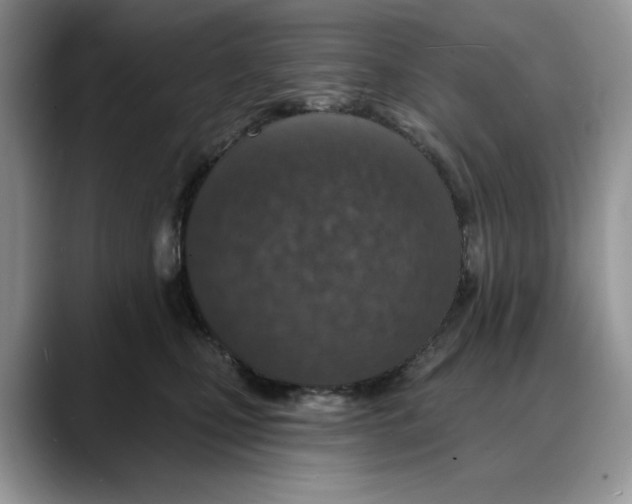 X0000088020471200706081445