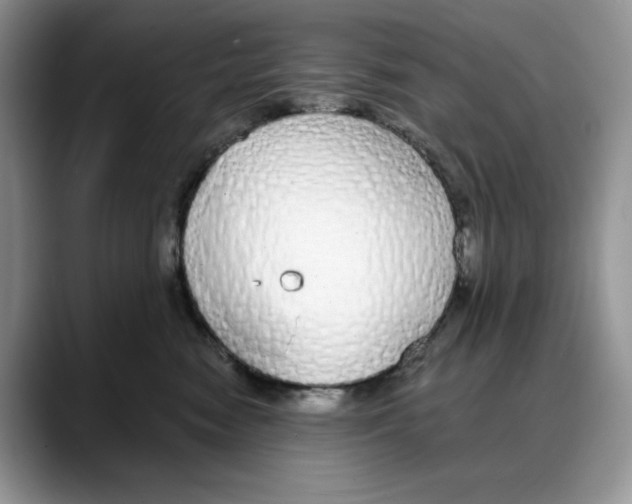 X0000088020474200706081445