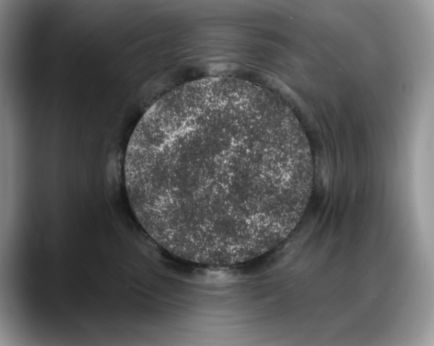 X0000088020475200706081445