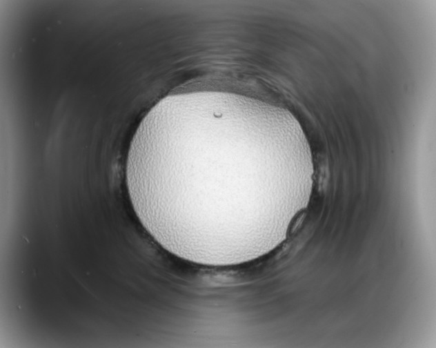 X0000088020476200706081445