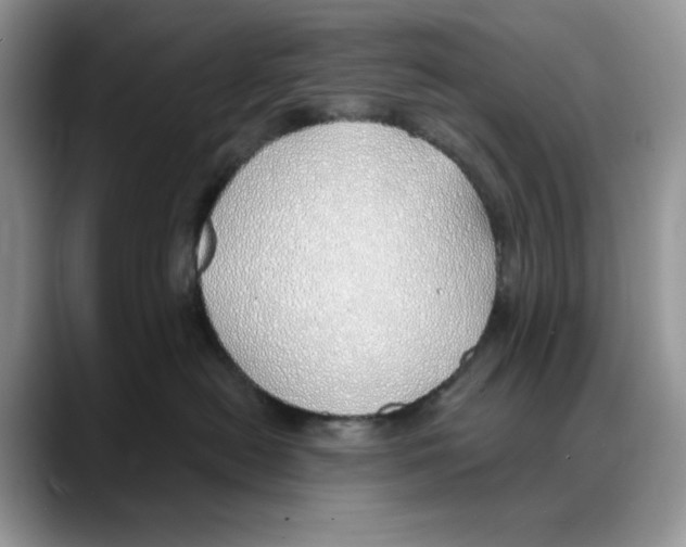 X0000088020478200706081445