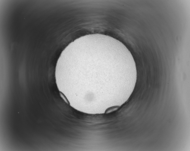 X0000088020480200706081445