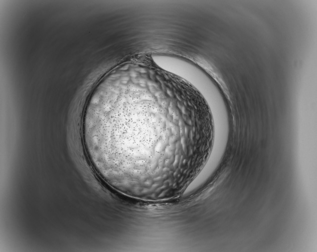 X0000088020481200706081444