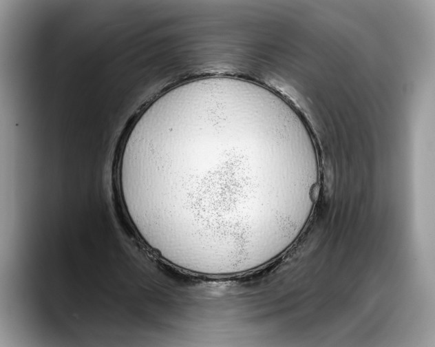 X0000088020482200706081444