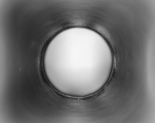 X0000088020483200706081444