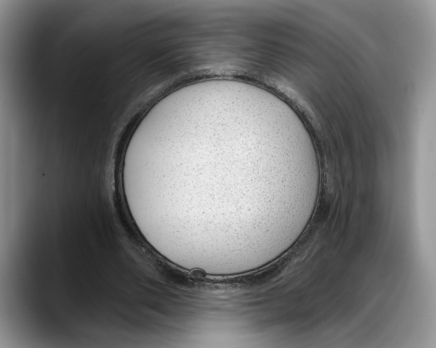 X0000088020486200706081444