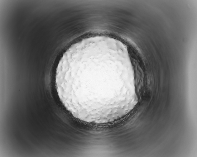 X0000088020487200706081444
