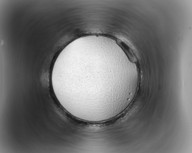X0000088020489200706081444