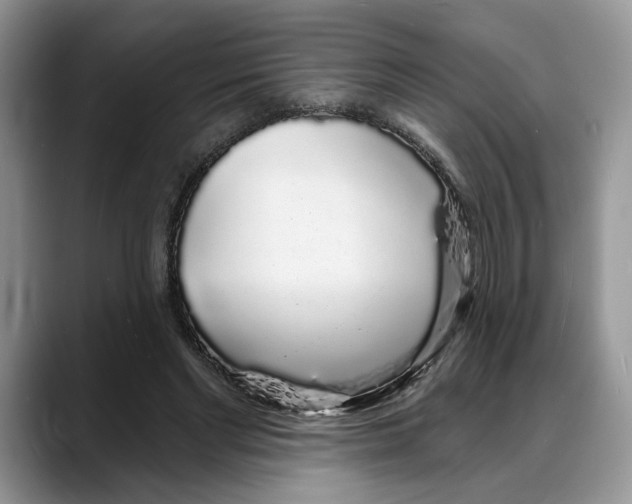 X0000088020493200706081444