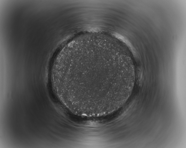X0000088020496200706081444