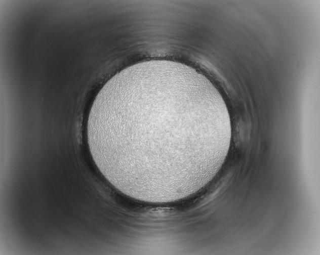 X0000088020497200706081444