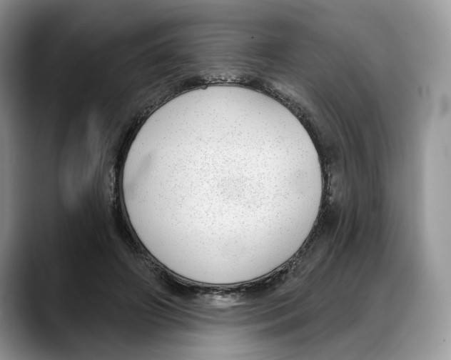 X0000088020498200706081444