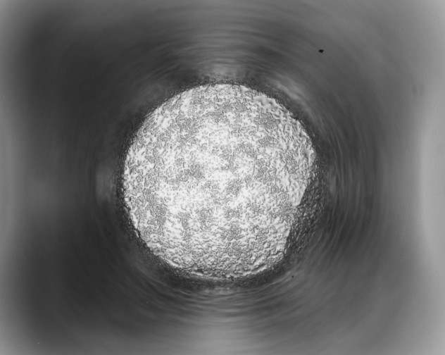 X0000088020499200706081444