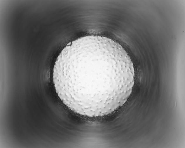 X0000088020502200706081444