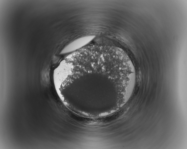 X0000088020504200706081444