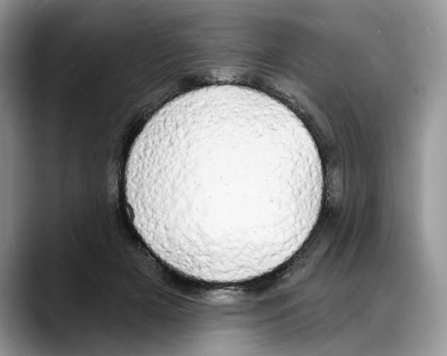 X0000088020505200706081444