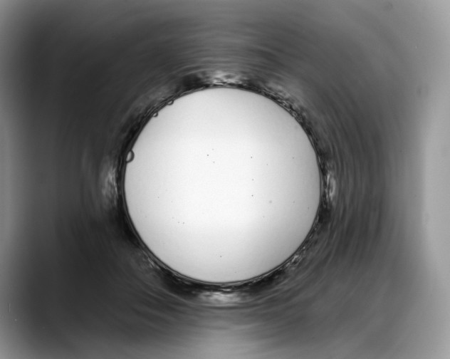X0000088020506200706081444