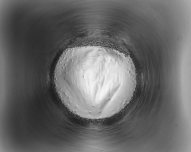 X0000088020508200706081444