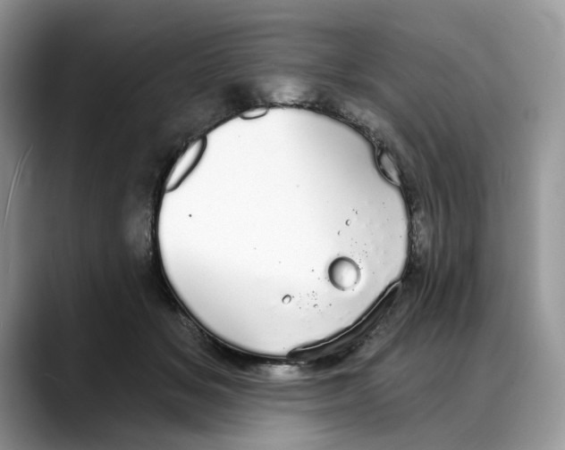 X0000088020509200706081444