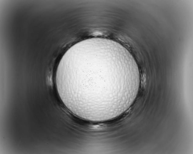 X0000088020510200706081444