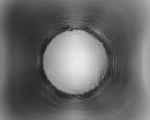 X0000088020513200706081444