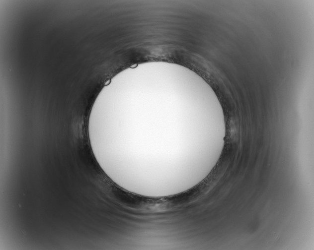 X0000088020514200706081444