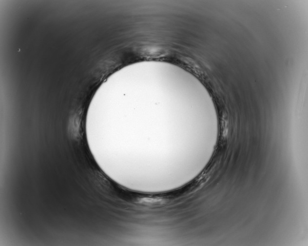 X0000088020515200706081444