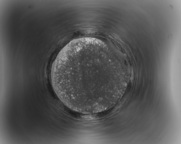 X0000088020516200706081444