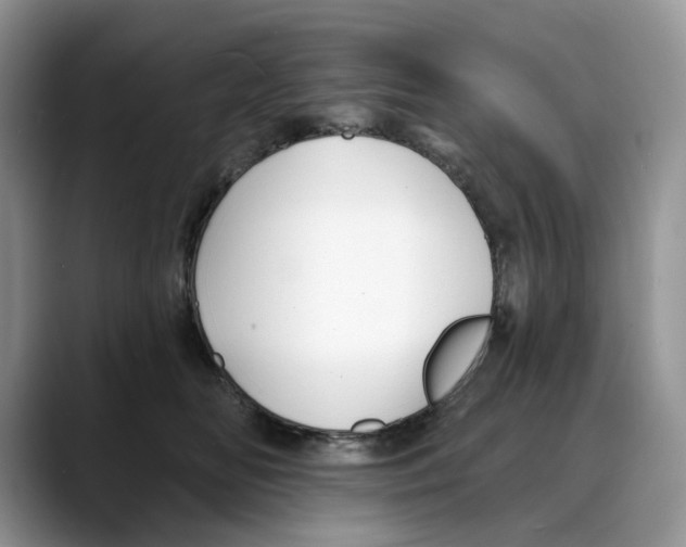 X0000088020518200706081444